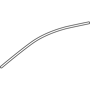 Ford 4L3Z-16253A20-AA Seal Strip, Rear Passenger Side