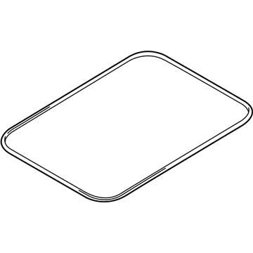 2020 Ford Transit Connect Weather Strip - DT1Z-1751884-BA