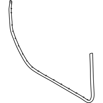 Ford M2DZ-7820530-B Door Weatherstrip