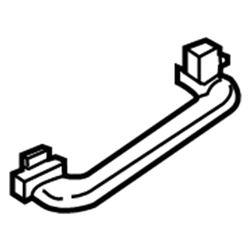Ford G1EZ-5831406-AA Grip Handle, Passenger Side
