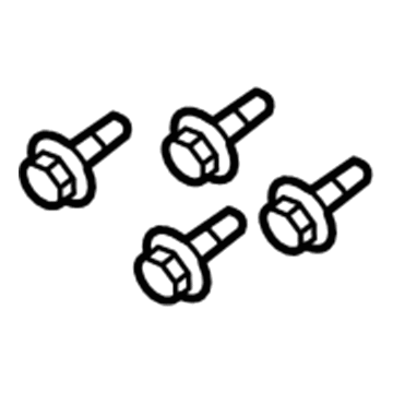 Ford -N807572-S439 License Bracket Hardware Kit