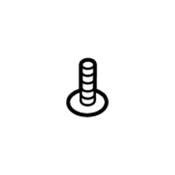 Ford -W702413-S307 Lower Shield Screw