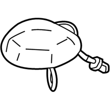 Ford Antenna - FR3Z-10E893-BBPTM