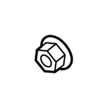 Lincoln -W715900-S306 Latch Nut