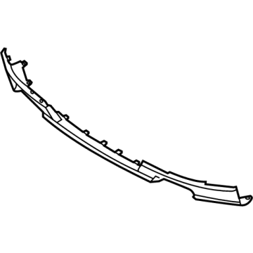 Ford NL3Z-8419-AA Lower Molding, Carbon Black