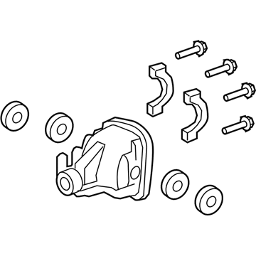 Ford FL1Z-4010-B Differential Carrier, Rear