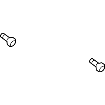 Lincoln -W715500-S900 Water Inlet Bolt