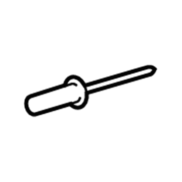 Ford -W525174-S300 Lock Cylinder Rivet