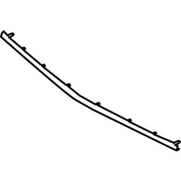 Ford FL7Z-17K945-AA Chrome Strip, Front Center