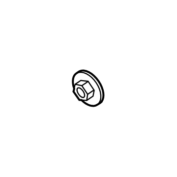 Ford -W709923-S437 Hinge Nut