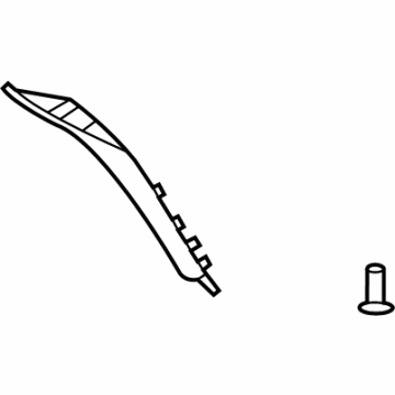 Ford M2DZ-7803599-BA Outer Molding