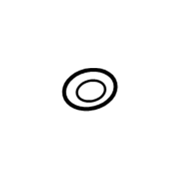 Ford DS7Z-19B596-A Evaporator Tube Seal