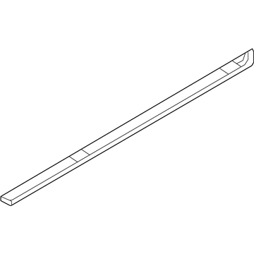 Lincoln AT4Z-78101A04-AA Rocker Molding