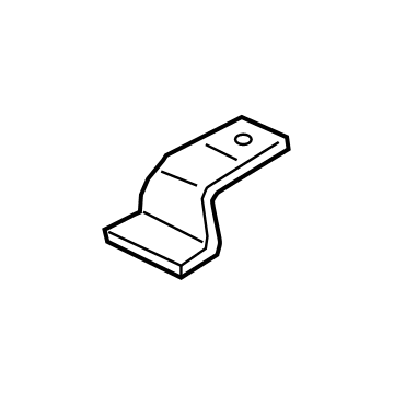 Ford HL3Z-6G079-C Front Plate Bracket, Passenger Side