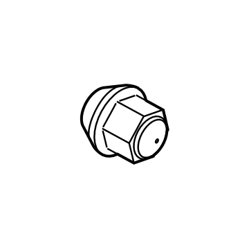 Lincoln Lug Nuts - CV6Z-1012-B