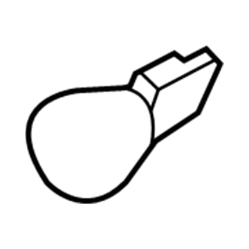 Lincoln F5DZ-13466-C Tail Lamp Bulb