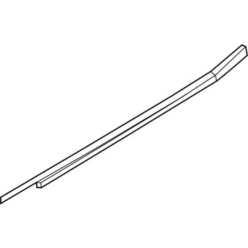 Ford NZ6Z-6025554-A Belt Molding, Rear Passenger Side