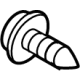 Ford -W703429-S450 Front Molding Screw