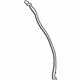 Ford LJ7Z-7828124-B Rear Weatherstrip, Passenger Side