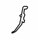 Ford FL3Z-1502408-A Seal Strip, Passenger Side