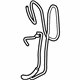 Ford DT1Z-17A605-T Washer Hose, Passenger Side