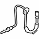 Ford CN1Z-2078-A Flex Hose, Front Passenger Side