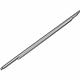 Ford 8A5Z-5421452-AC Belt Weatherstrip, Passenger Side