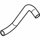 Ford YW7Z-8286-CA Lower Hose