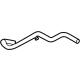 Ford LX6Z-18472-HAD Water Hose