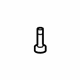 Ford -W711267-S424 Motor Screw