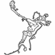Ford KS7Z-12A581-A Wire Harness, Front