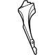 Ford LX6Z-78016A22-A Inner Reinforcement, Passenger Side