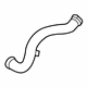 Ford L1MZ-8286-L Lower Hose