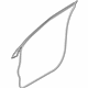 Ford FL3Z-1520531-A Door Weatherstrip, Front Outer Driver Side