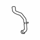 Ford LK4Z-8286-J Lower Hose