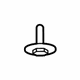 Ford -W705583-S442 Battery Tray Bolt