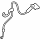 Ford KB3Z-2078-C Flex Hose, Front Passenger Side