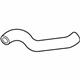 Ford YC2Z-8286-HA Lower Hose