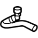 Ford ML3Z-18N344-B Outlet Hose, Rear