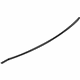 Ford DP5Z-99021A46-B Seal Strip