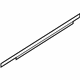 Ford 8T4Z-7821452-E Belt Weatherstrip, Black, Outer Passenger Side