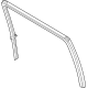 Ford FL3Z-1625766-G Run Channel, Passenger Side