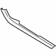 Ford EM2Z-58061A16-AA Trim Molding, Passenger Side