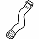 Ford CV6Z-8286-AA Lower Hose