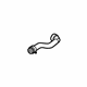 Ford CV6Z-18N345-S Lower Hose