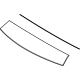 Ford M1PZ-7851916-AC Front Plate, Black