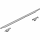 Ford AE9Z-7425596-C Belt Molding, Rear Passenger Side