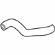 Ford 3C2Z-8286-EA Lower Hose