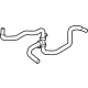 Ford L1MZ-8C289-H Water Hose