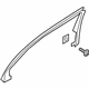 Ford GD9Z-5400014-AE Frame Molding, Rear Passenger Side
